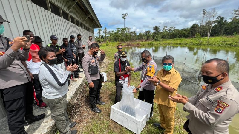 Program Kasuari Satgas Binmas Noken Ops Damai Cartenz kali ini bantu bibit ikan