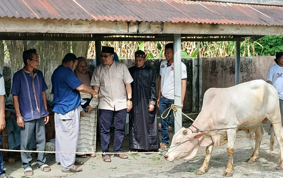 Ketua DPD Perindo Simalungun Sariadi Saragih Serahkan Hewan Kurban