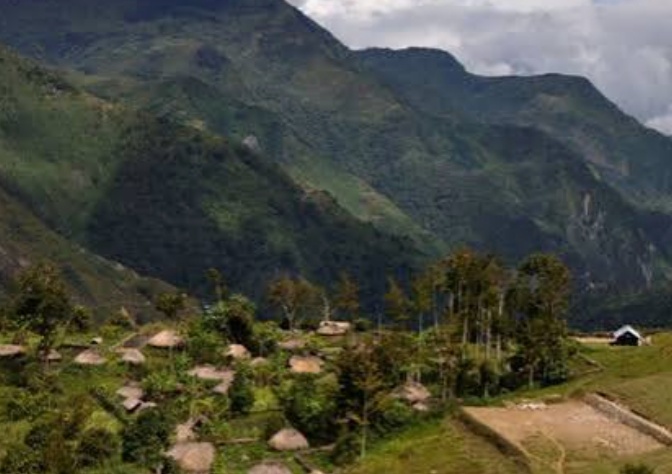 Pembangunan Papua Sudah Berbasis Ekologi, Narasi Film “Pesta Babi”Provokatif