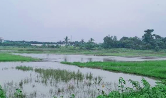 MA Menangkan Pemprov Banten dalam Sengketa Situ Rancagede, Penataan Ulang Segera Dilakukan