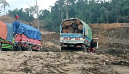 Dugaan Perambahan Hutan Seret Nama PT BPM, KPHP Barito Hilir Siap Turun ke Lapangan