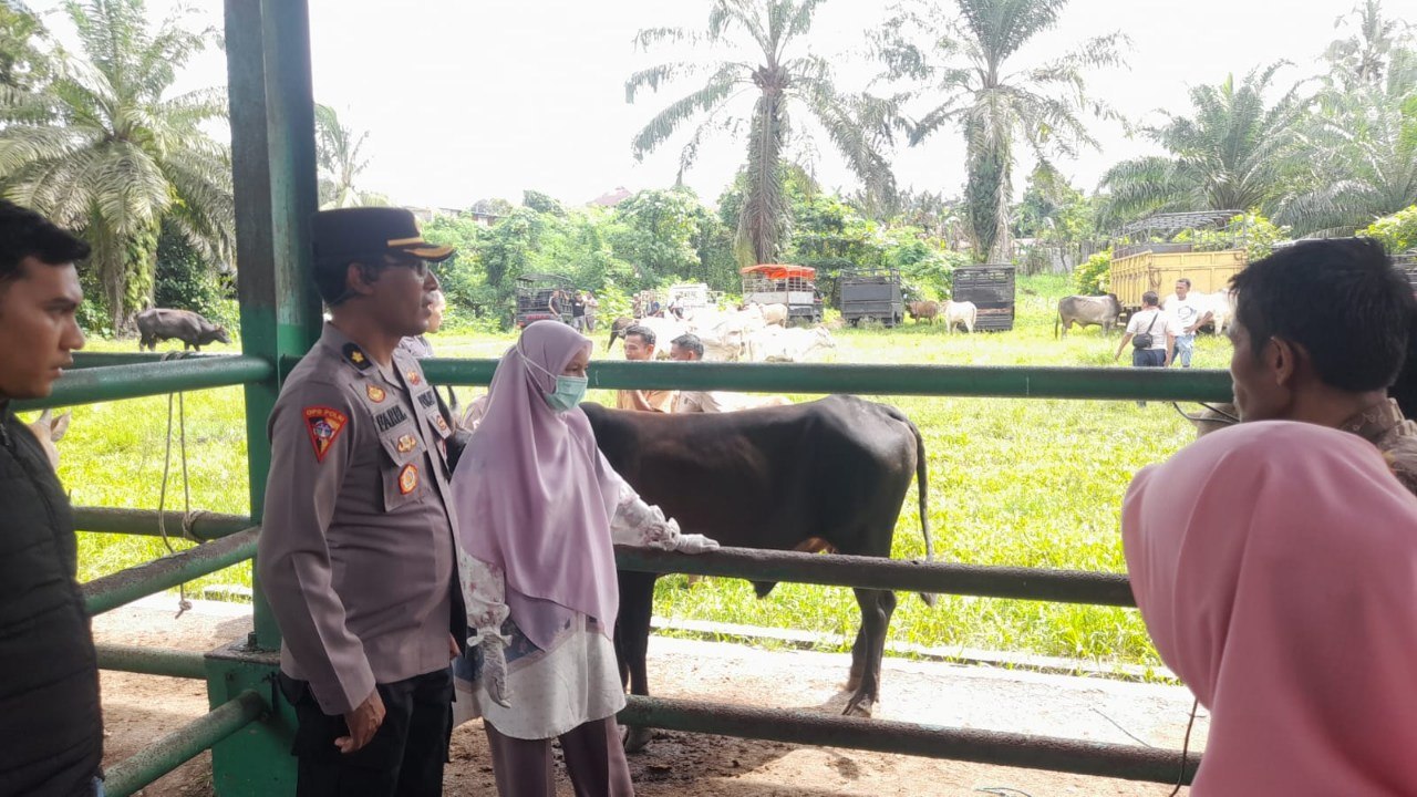 Iduladha 1447 H Dekat, Polres Pasbar Ingatkan Peternak Jangan Lengah Jaga Kandang
