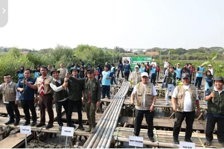 Tanam 10 Ribu Pohon Mangrove di Mauk, Bupati Tangerang Apresiasi Kolaborasi Jurnalis Peduli Lingkungan dan Dunia Usaha