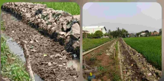 Proyek Irigasi P3A Kp Kebon Cabe Diduga Kuat Sengaja Abaikan Aturan