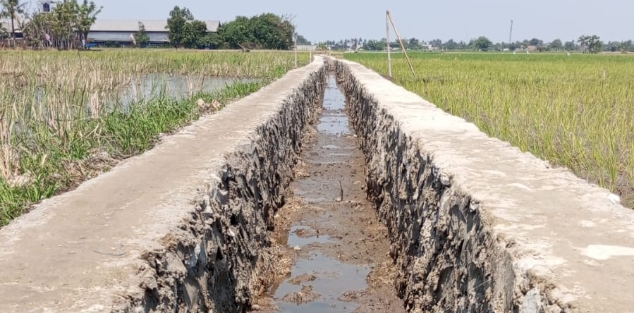 Petani Desa Kedaung Barat Sepatan Apresiasi Pembangunan Irigasi Perairan Kelompok Tani P 3