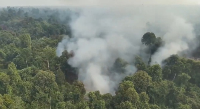 Kebakaran Karhutla Meluas di Kalimantan, 1.487 Titik Panas Terdeteksi