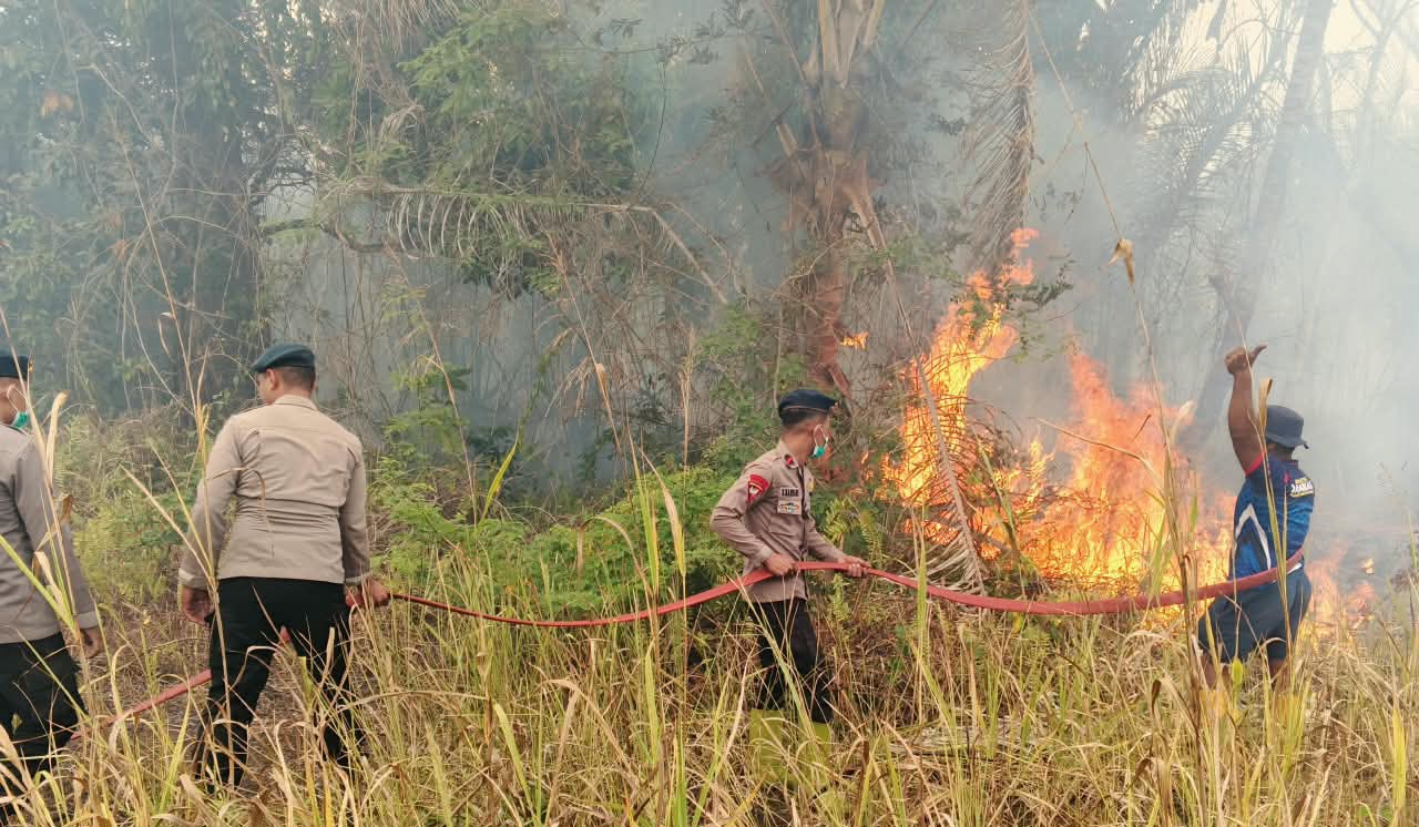 Kebakaran Lahan di Desa Tewil Halmahera Timur, Brimob Malut dan Damkar Gerak Cepat Upaya Padamkan Api 