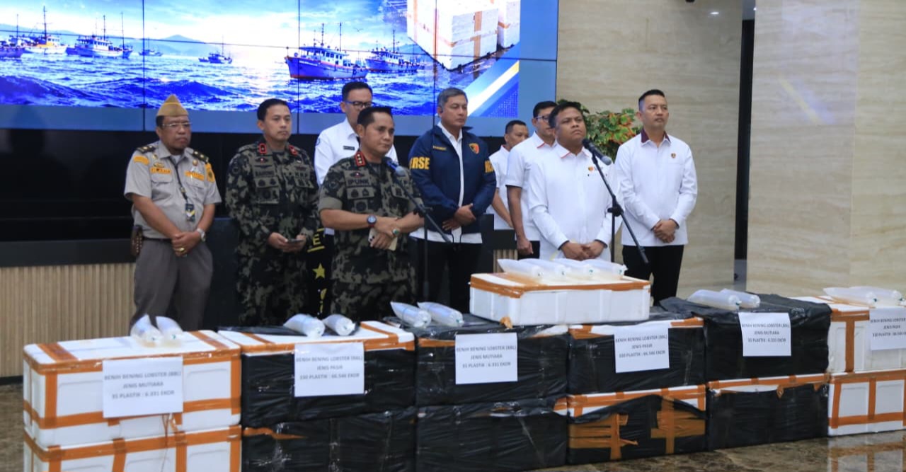 Jaringan Penyelundupan Baby Lobster Lintas Negara, Berhasil di Ungkap Polri,  Dua Pelaku Ditangkap